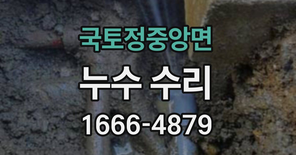 국토정중앙면 누수 수리
