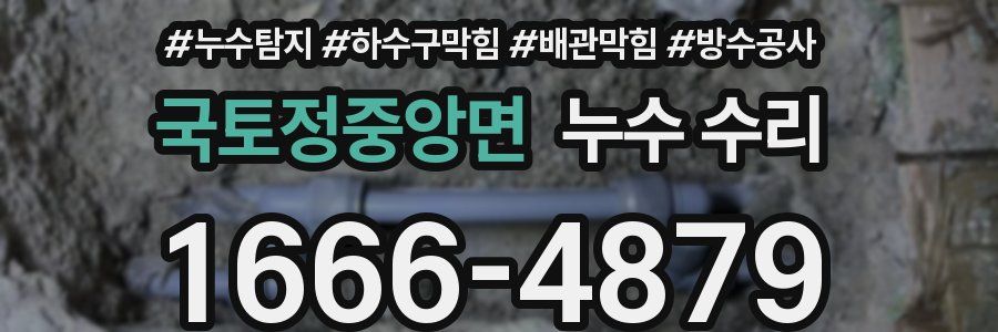 국토정중앙면 누수 수리