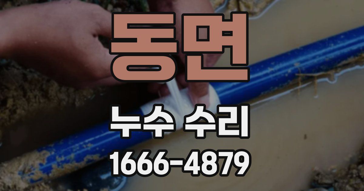 동면 누수 수리