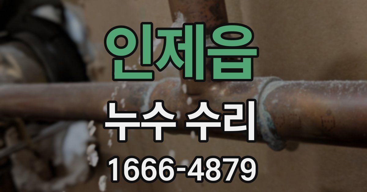 인제읍 누수 수리
