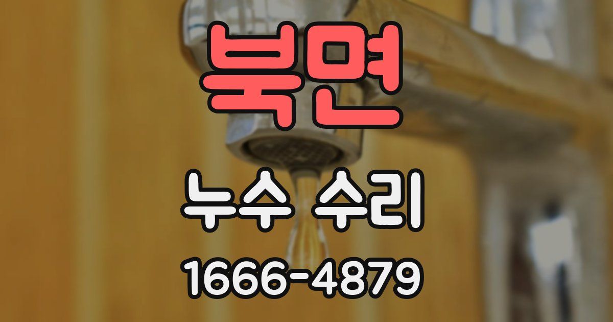 북면 누수 수리
