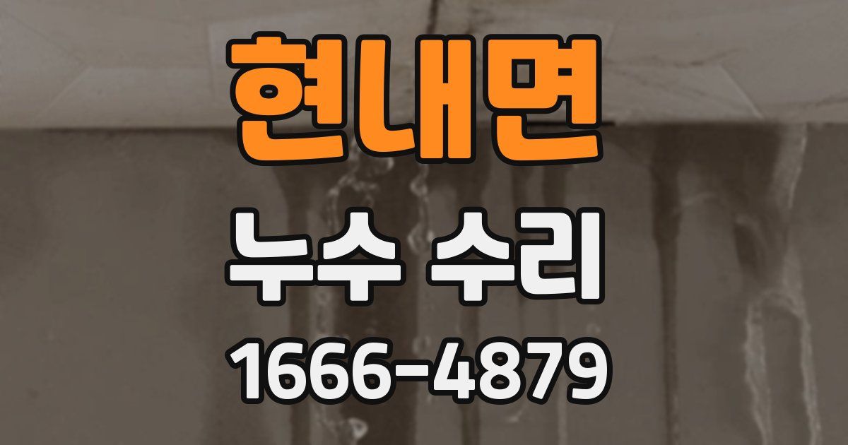 현내면 누수 수리