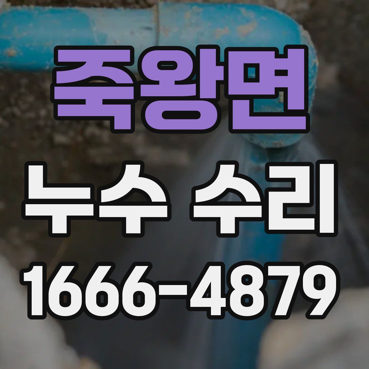 죽왕면 누수 수리