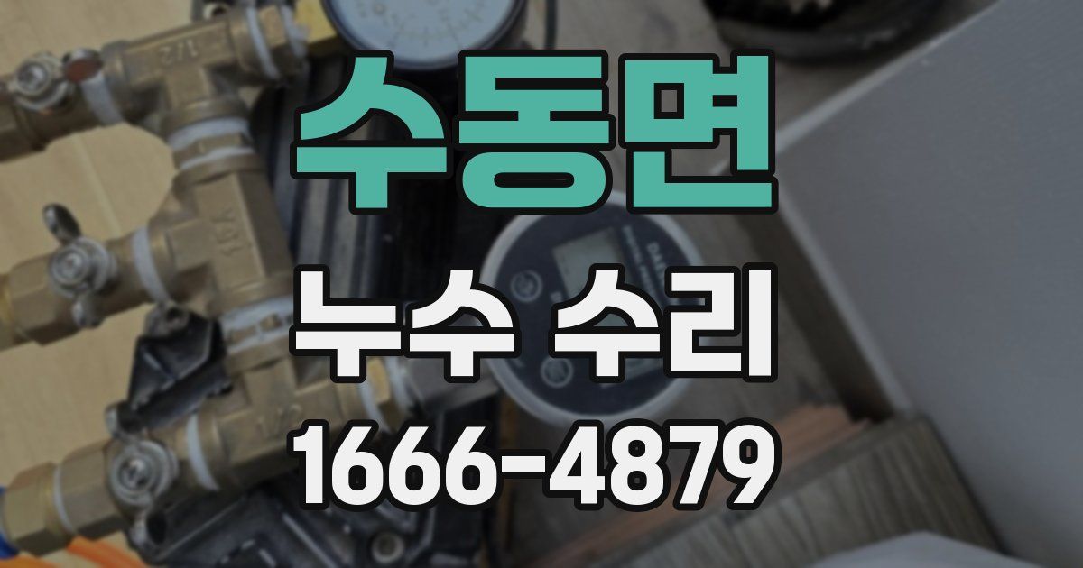 수동면 누수 수리