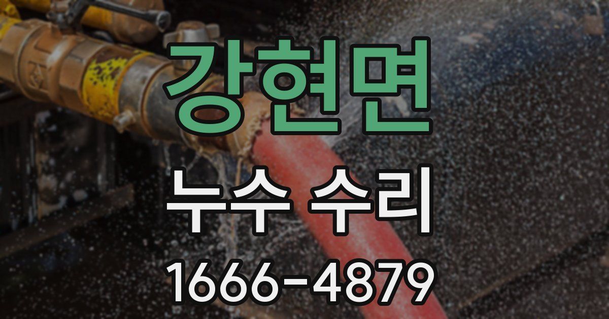 강현면 누수 수리