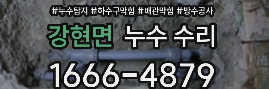 강현면 누수 수리