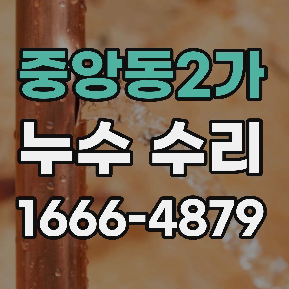 중앙동2가 누수 수리