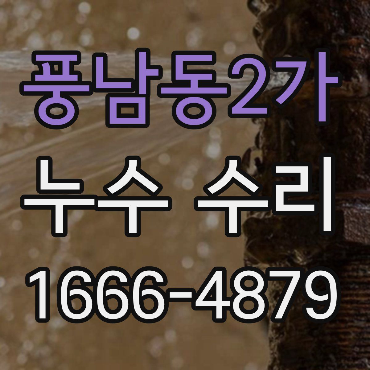 풍남동2가 누수 수리