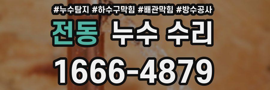 전동 누수 수리