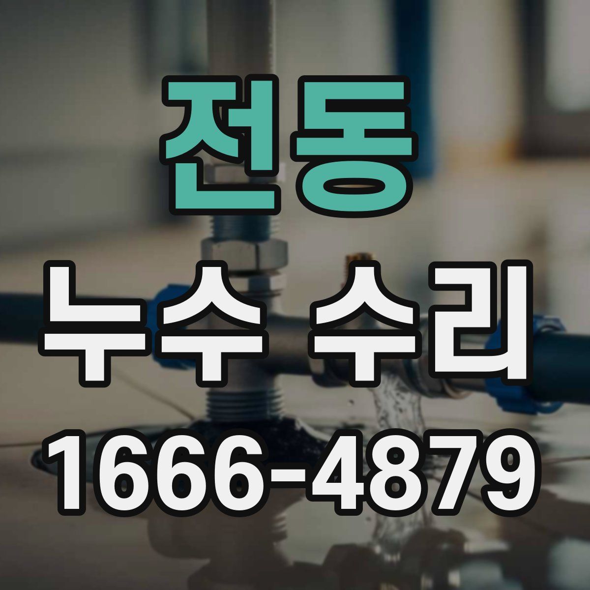 전동 누수 수리