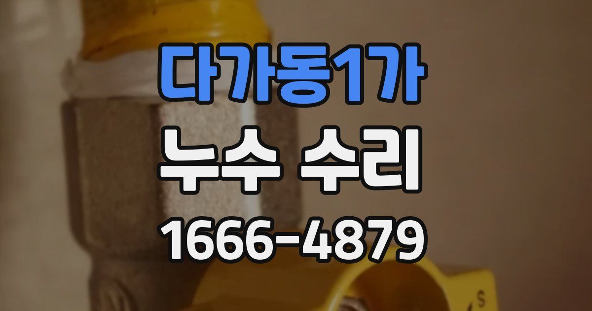 다가동1가 누수 수리