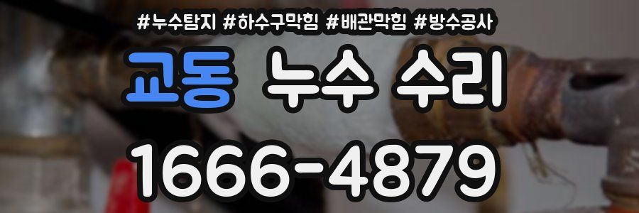 교동 누수 수리