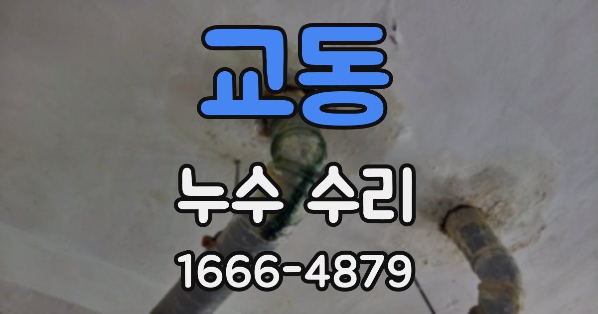 교동 누수 수리