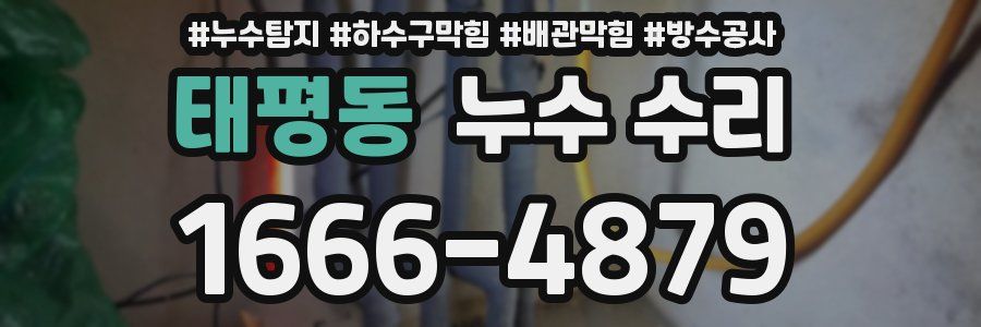 태평동 누수 수리