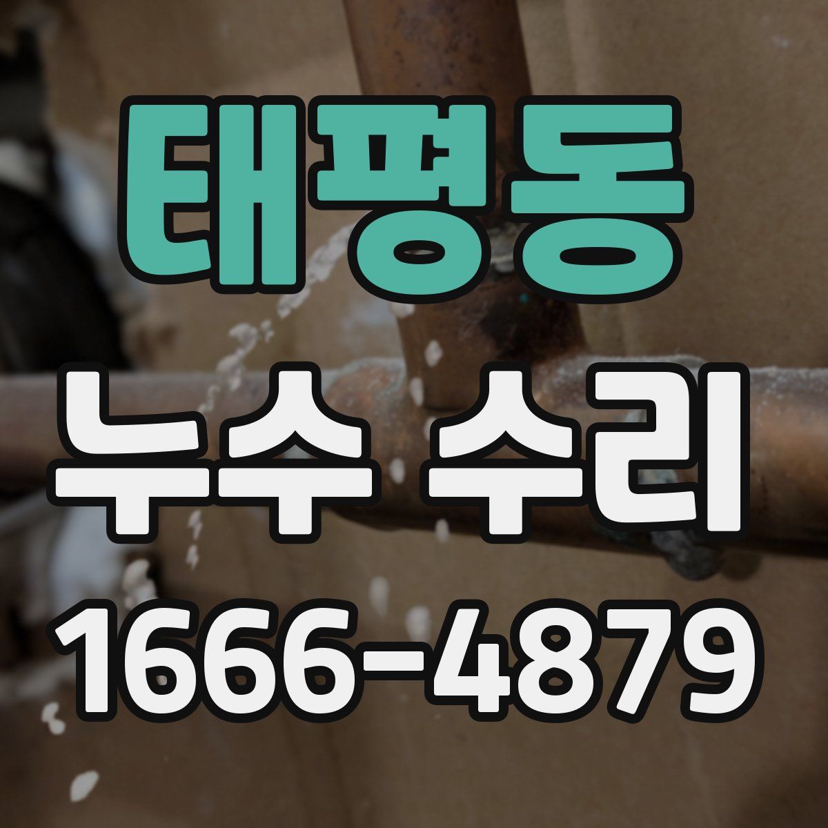 태평동 누수 수리