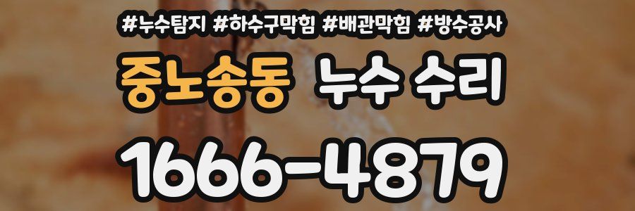 중노송동 누수 수리