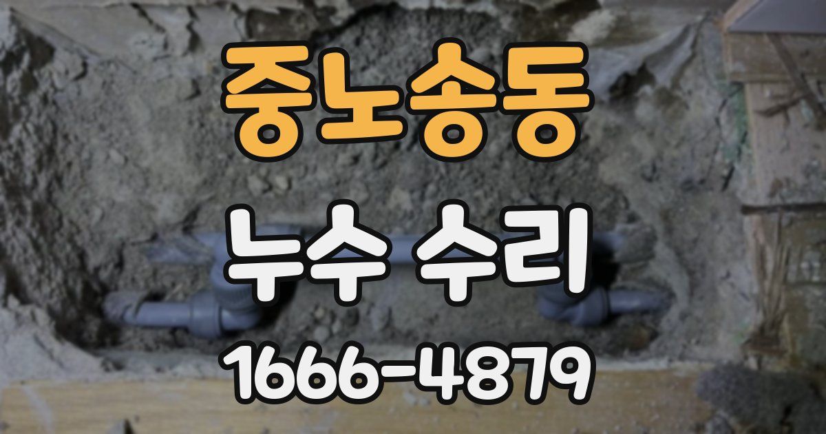 중노송동 누수 수리