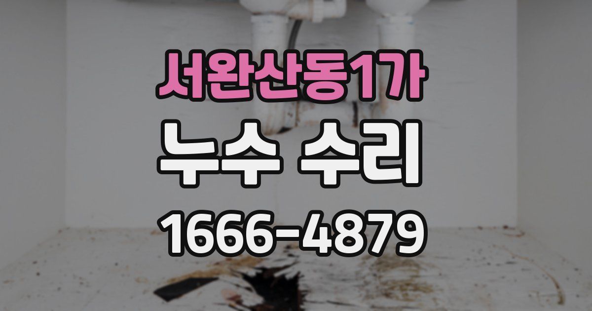 서완산동1가 누수 수리