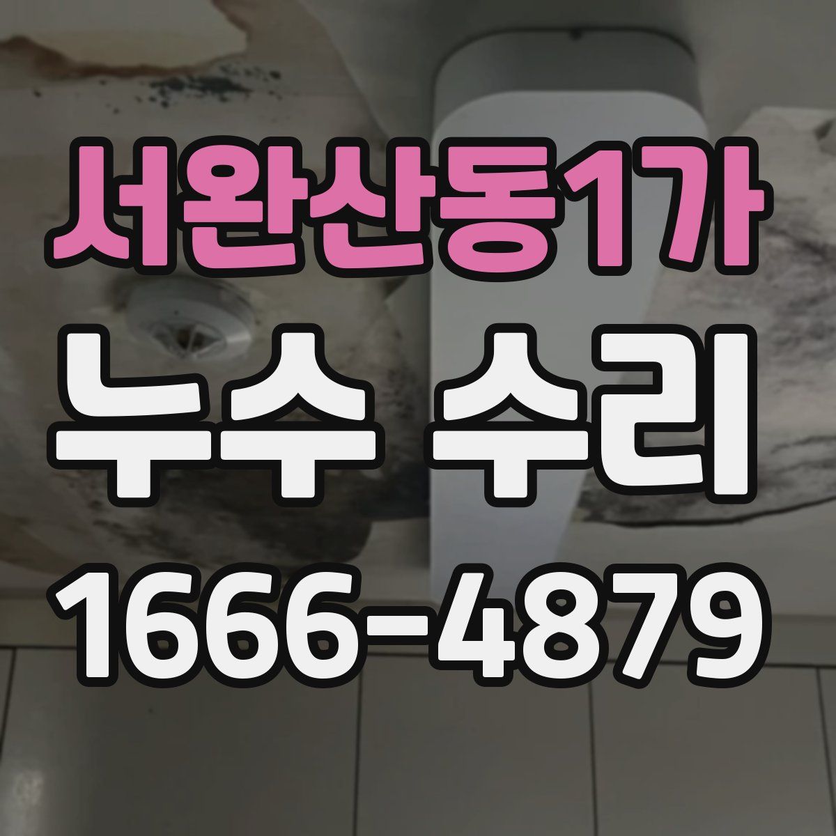 서완산동1가 누수 수리
