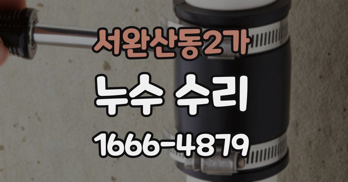 서완산동2가 누수 수리