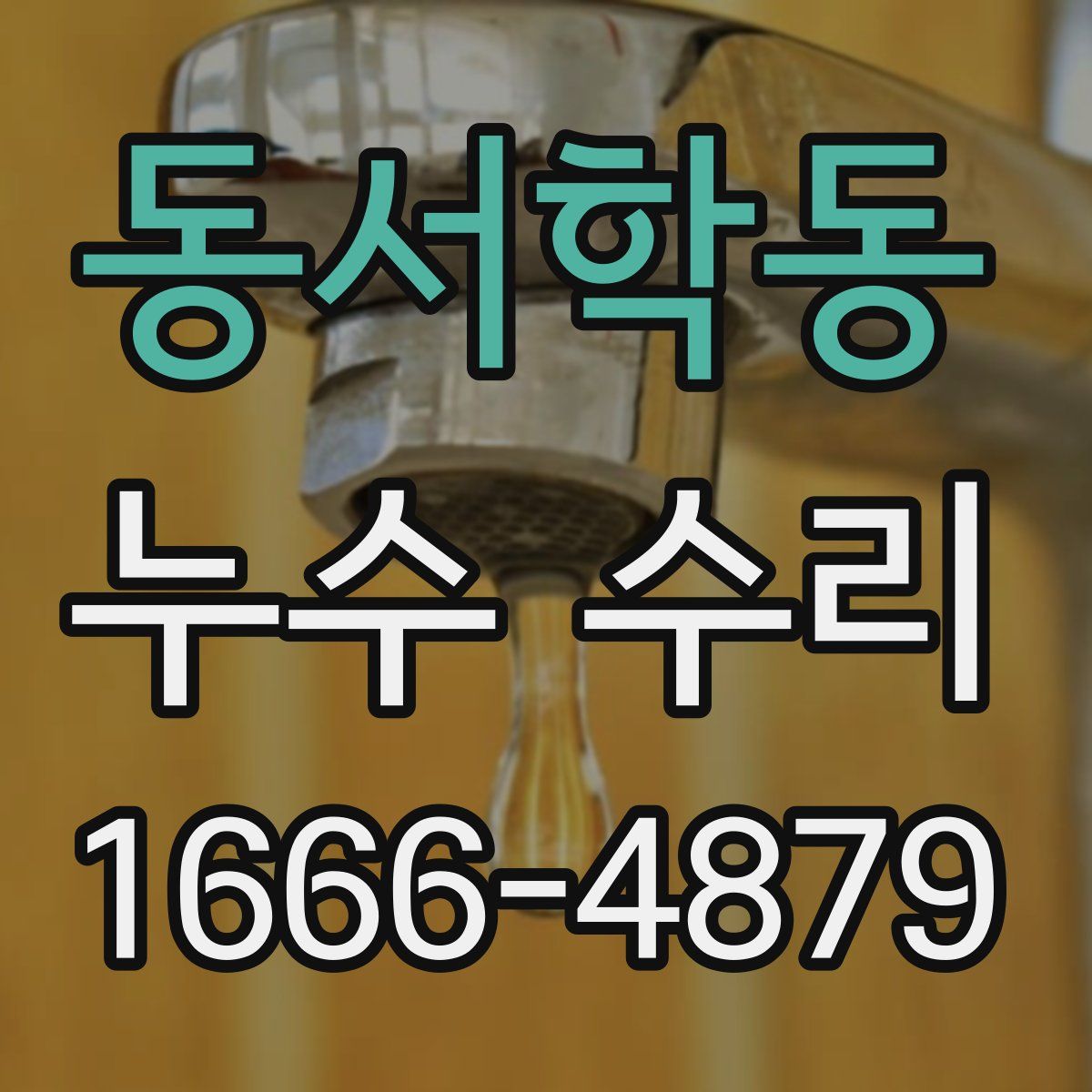 동서학동 누수 수리