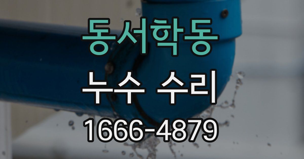 동서학동 누수 수리