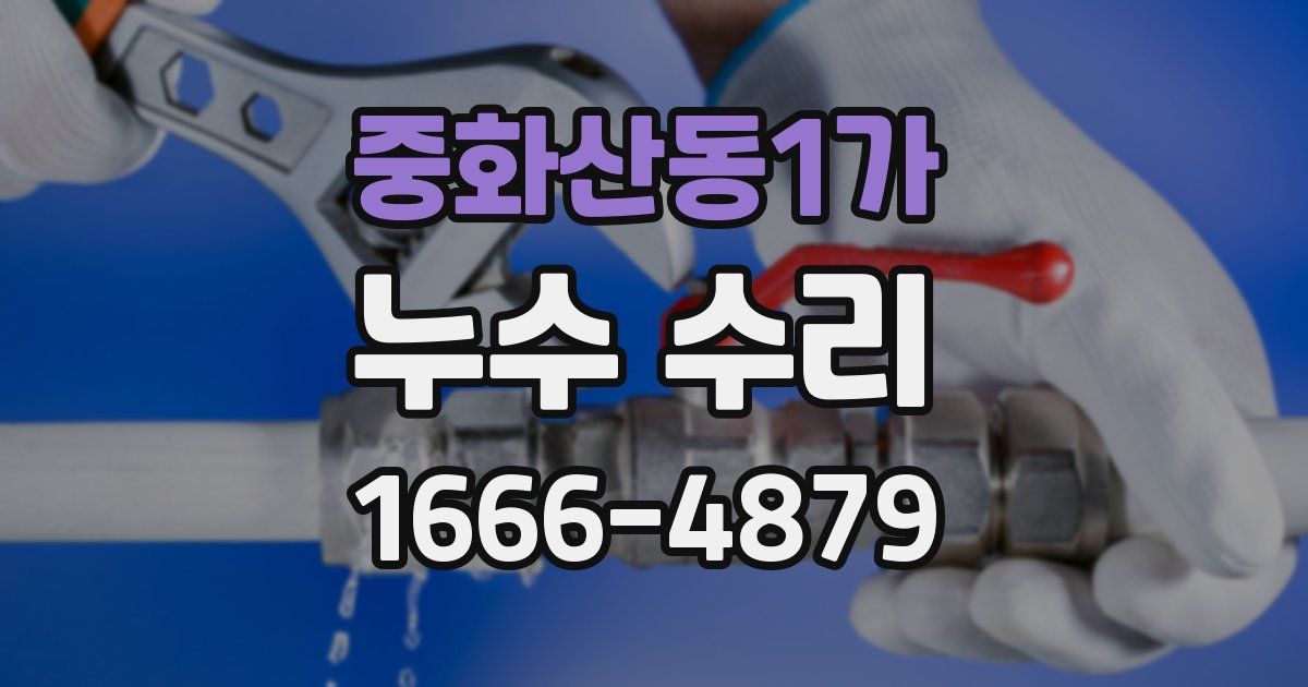 중화산동1가 누수 수리