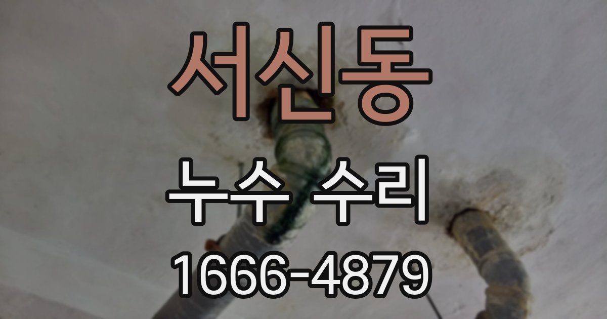 서신동 누수 수리