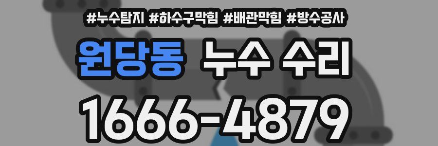 원당동 누수 수리