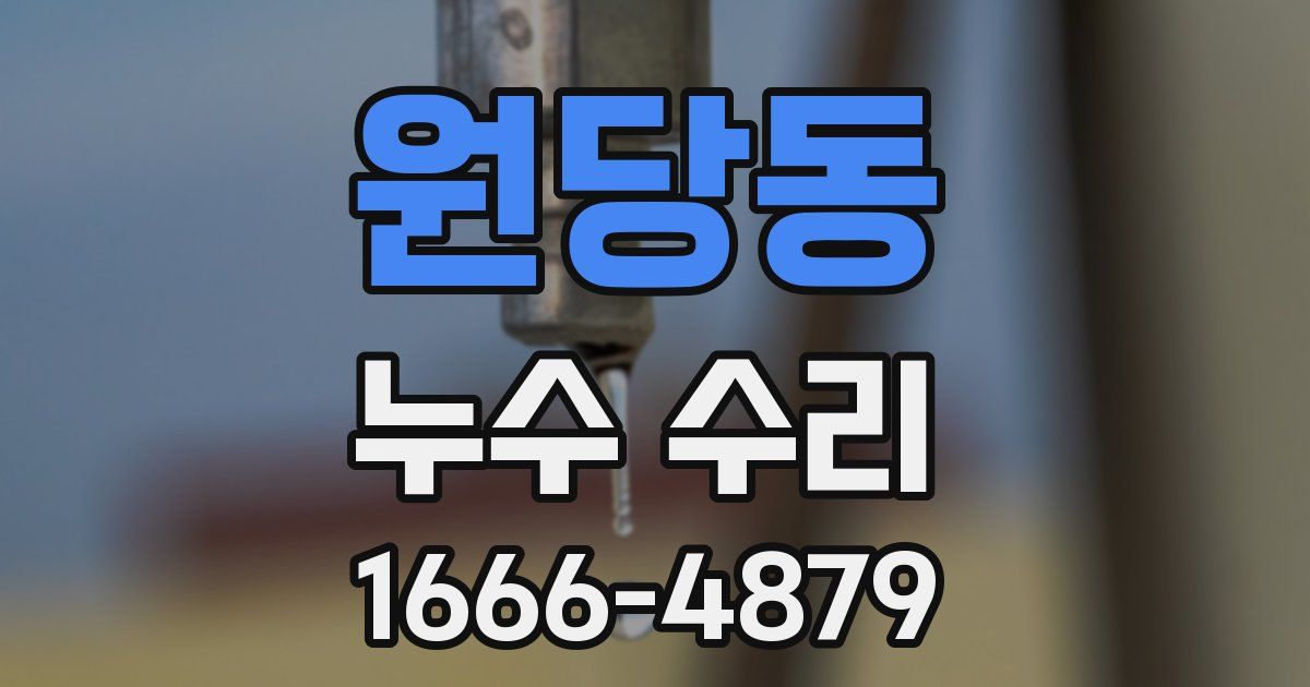원당동 누수 수리