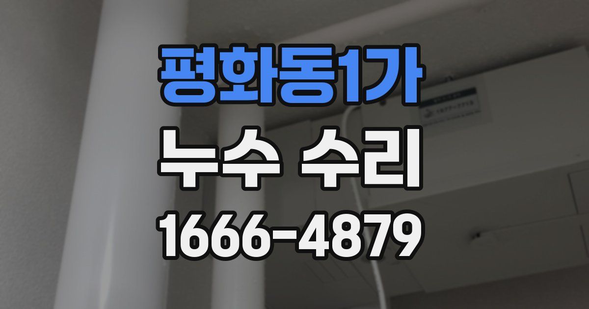 평화동1가 누수 수리