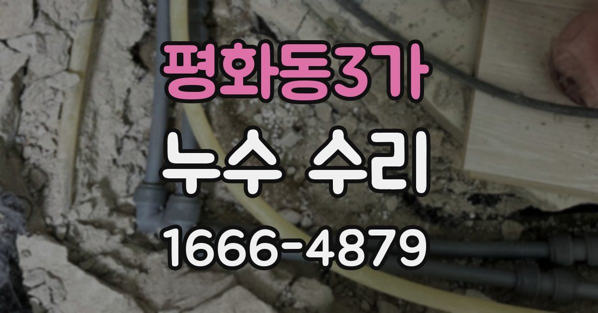평화동3가 누수 수리