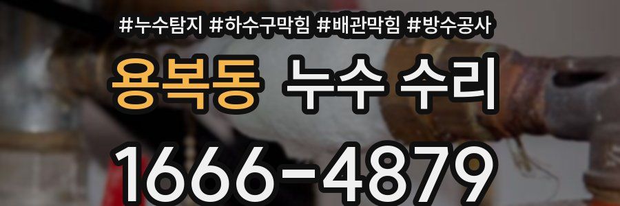 용복동 누수 수리