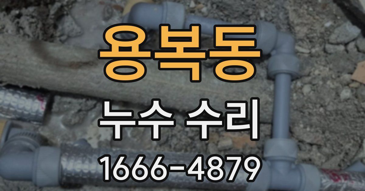 용복동 누수 수리