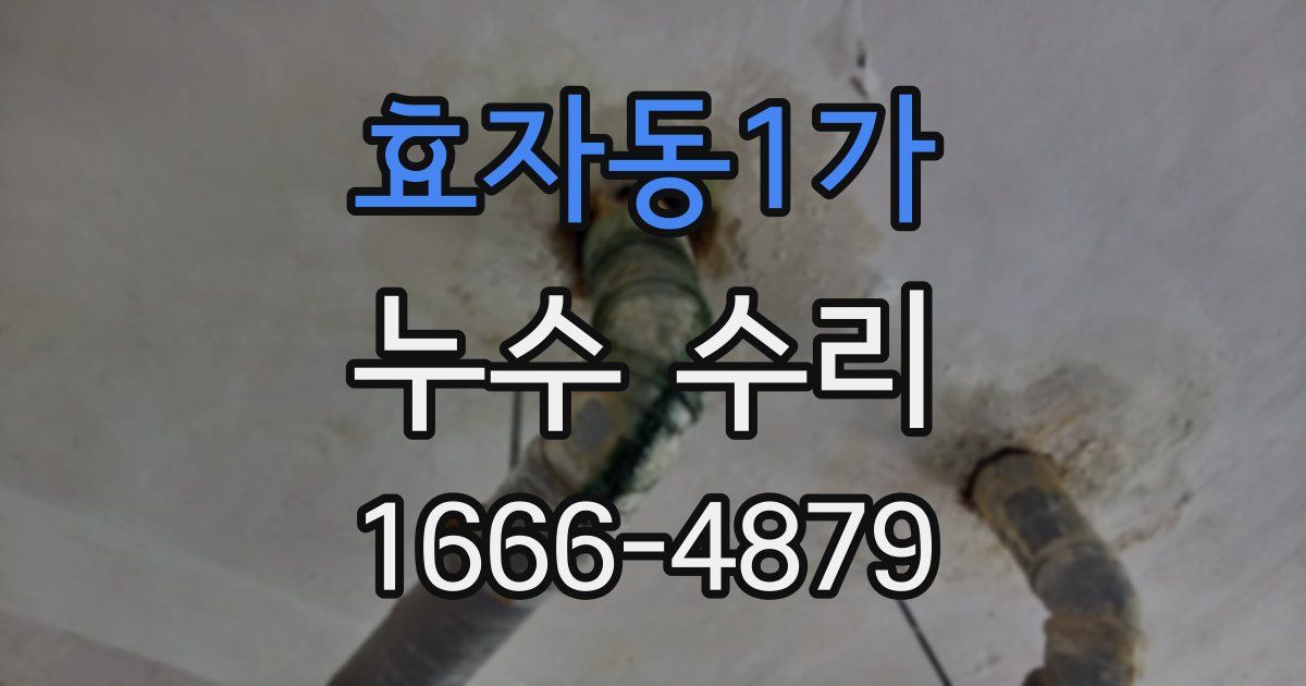 효자동1가 누수 수리