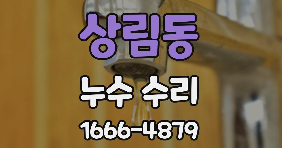 상림동 누수 수리