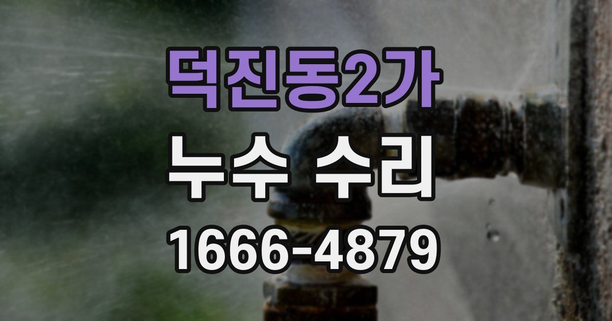 덕진동2가 누수 수리