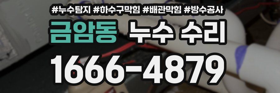 금암동 누수 수리