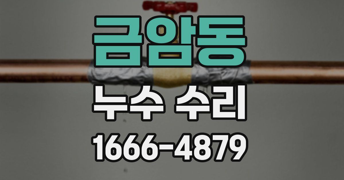 금암동 누수 수리