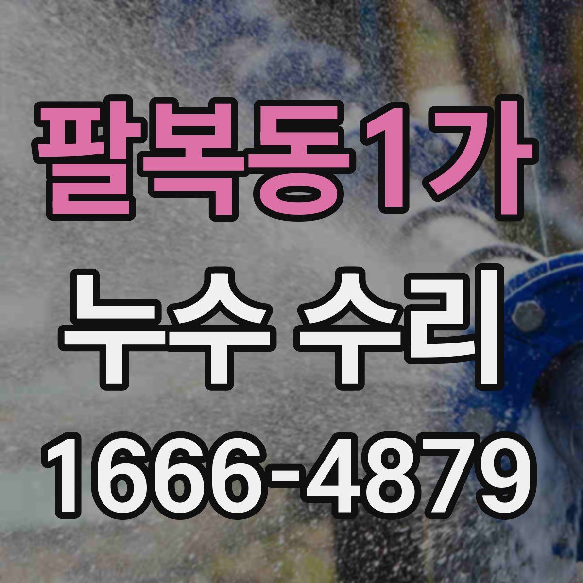 팔복동1가 누수 수리