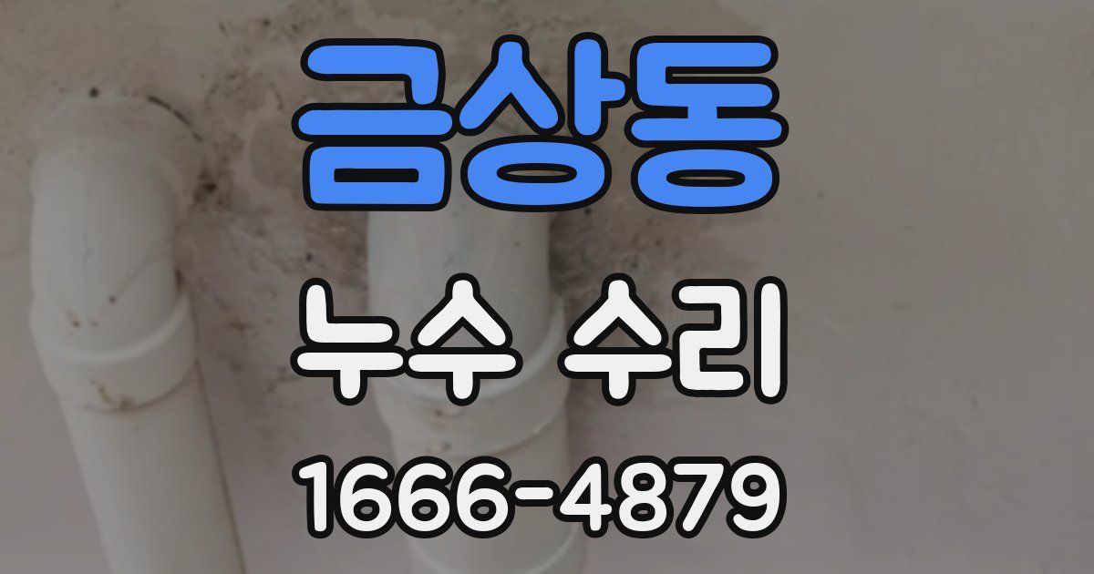금상동 누수 수리