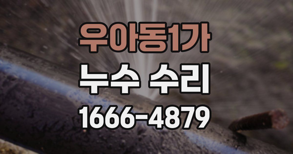 우아동1가 누수 수리