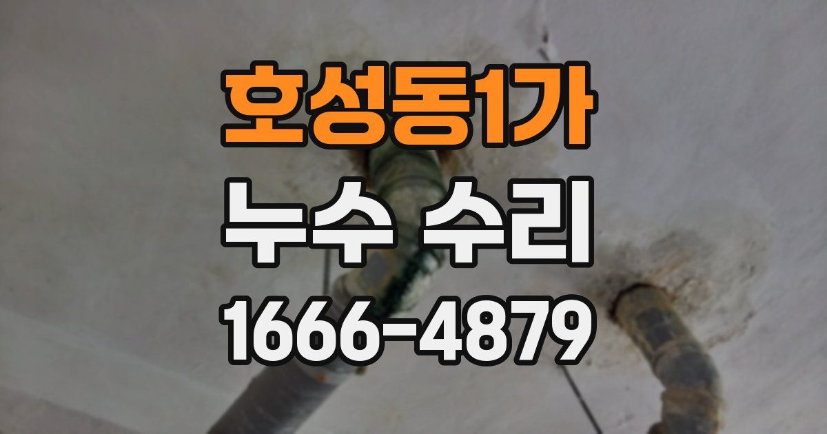 호성동1가 누수 수리
