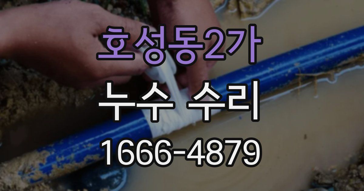 호성동2가 누수 수리