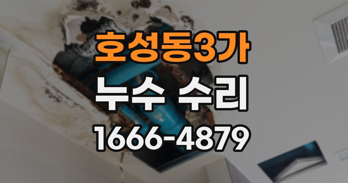 호성동3가 누수 수리