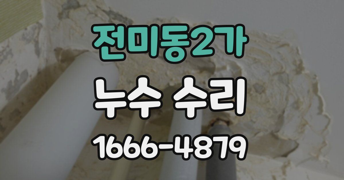 전미동2가 누수 수리