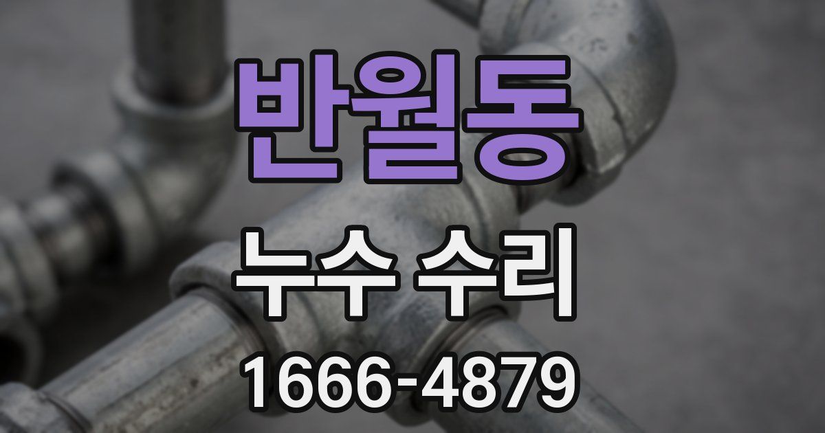 반월동 누수 수리