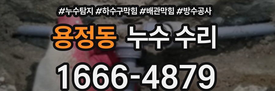 용정동 누수 수리