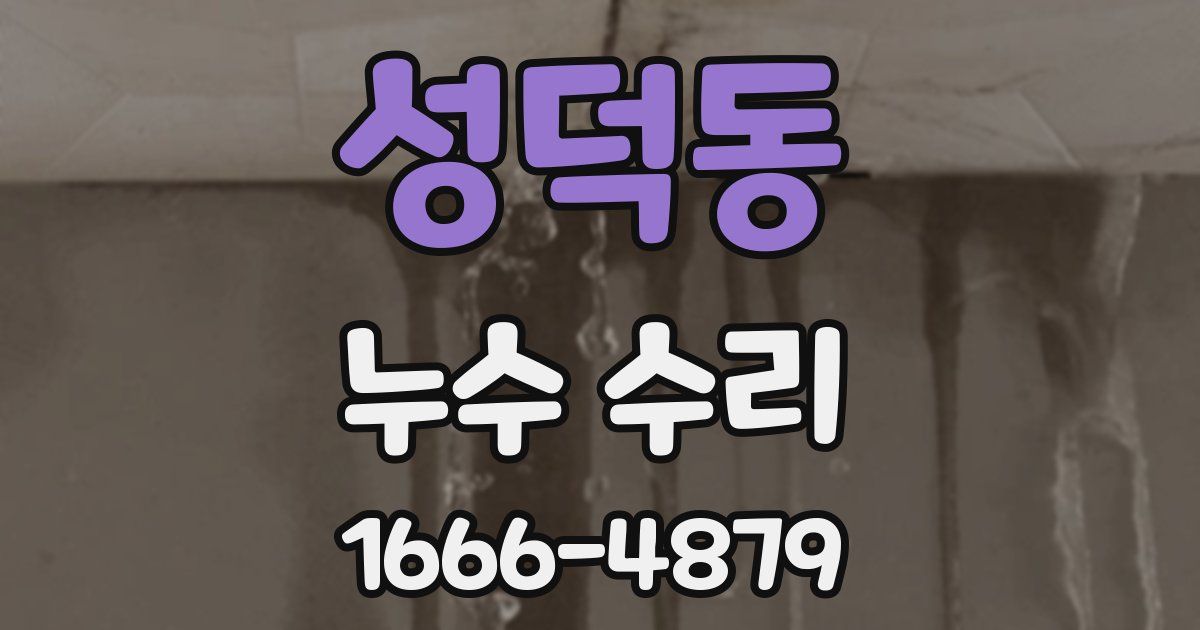 성덕동 누수 수리