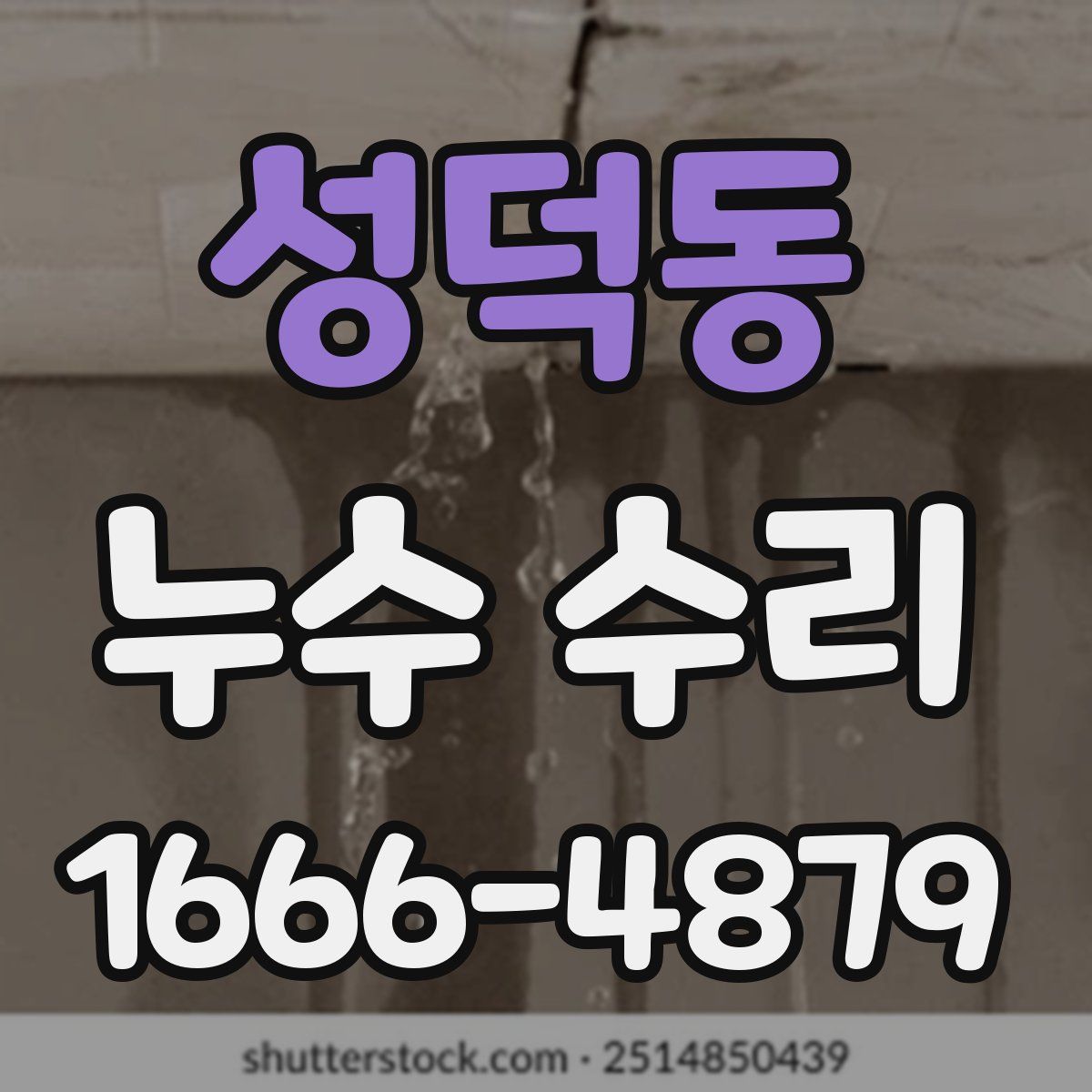 성덕동 누수 수리